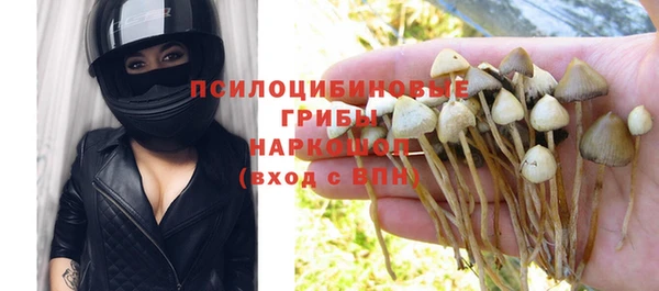 крисы Куйбышев