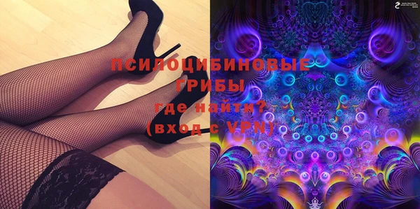 крисы Куйбышев