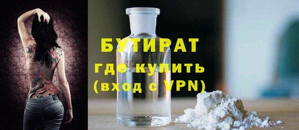 крисы Кулебаки