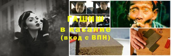 крисы Кулебаки