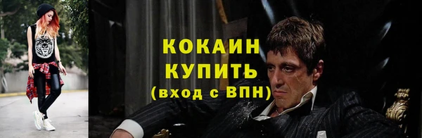 крисы Кулебаки