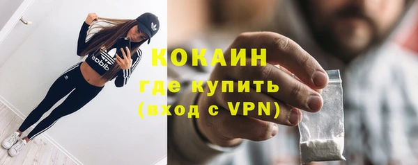 крисы Кулебаки