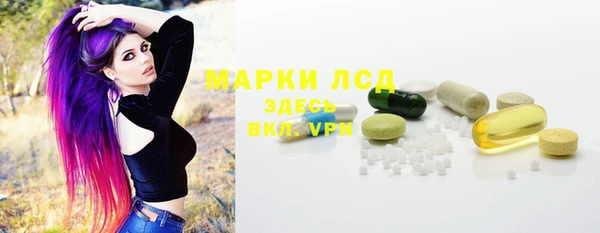крисы Кулебаки