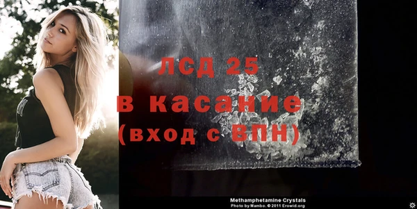 крисы Кулебаки