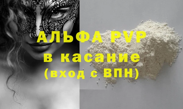 крисы Кулебаки