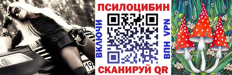 Купить закладки  Камень-на-Оби  Псилоцибиновые грибы Psilocybe 