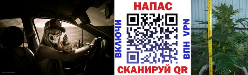 Купить закладки  Камень-на-Оби  Конопля гибрид 